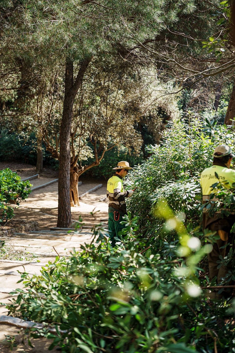 Due giardinieri in divisa gialla potano le siepi in un parco.